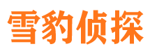 当雄侦探公司